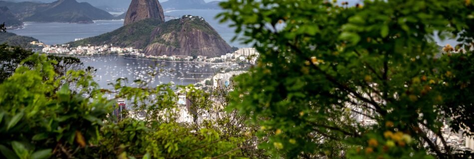 Photo taken through trees showing the Sugarloaf Mountain covered with vegetation in the background, surrounded by the sea and thousands of boats nearby. In the foreground, there are many buildings and houses spread across the area.