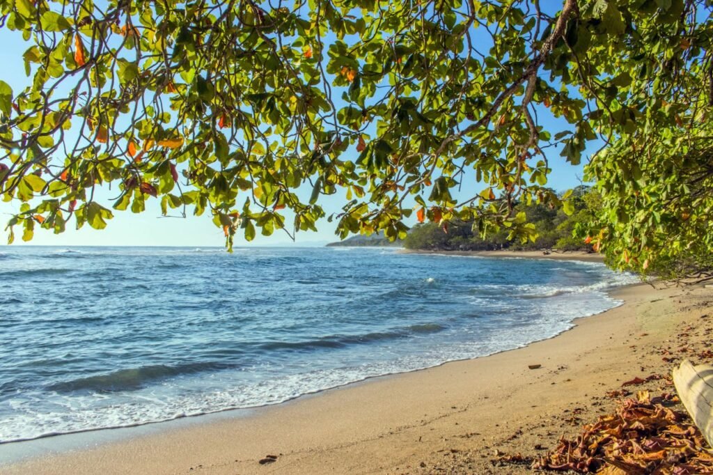Golden hour at a beach in Puntarenas Province, Costa Rica, with tropical trees near the shore, blue sea, golden sand, and a clear blue sky — a perfect scene in one of the most beautiful Latin American countries.