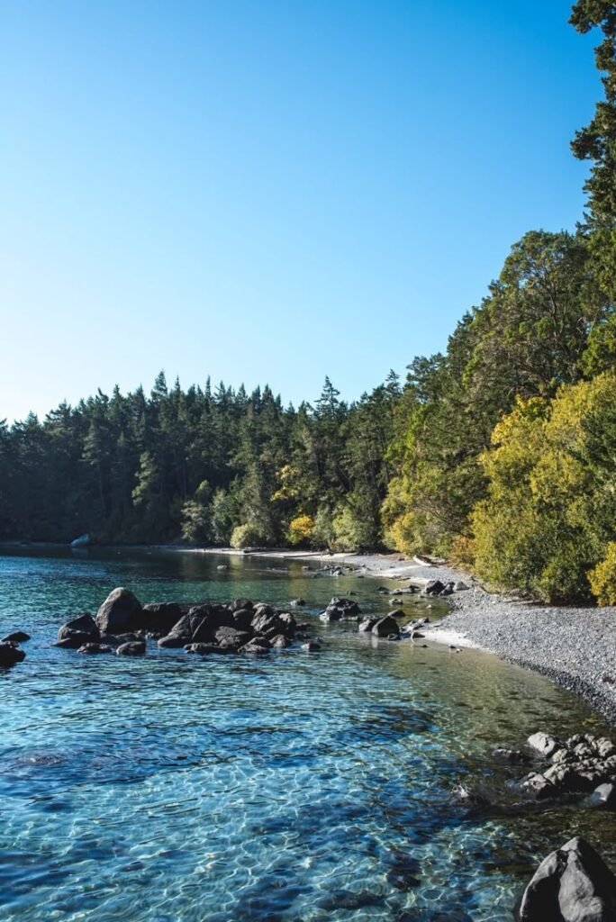 Peaceful beach on Vancouver Island, Canada, with wet sand reflecting the sky, pine trees in the distance, and soft waves.